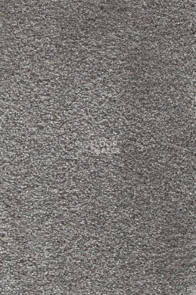 Ковролин AW Masquerade Gaudia 97 фото 1 | FLOORDEALER